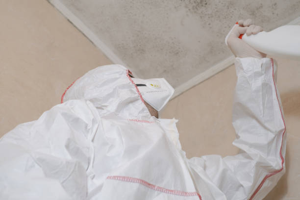 Best Kitchen Mold Remediation in Eden, NC